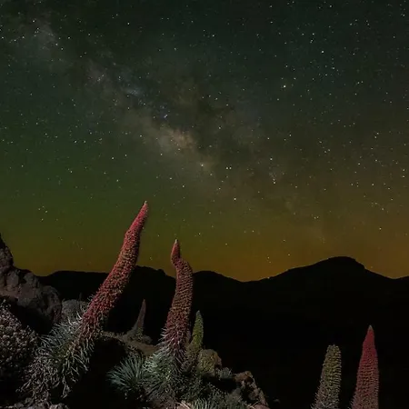 Estudio Rural - Nature & Relax * La Orotava