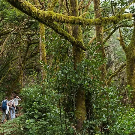 Estudio Rural - Nature & Relax Apartament *