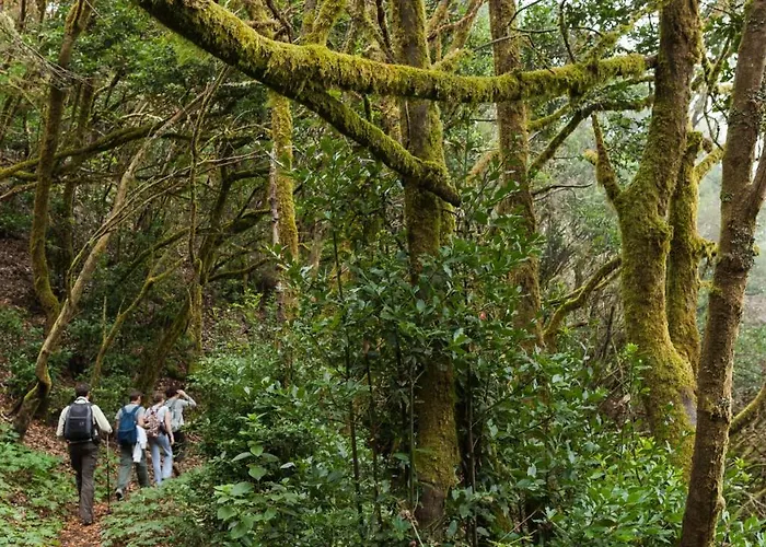 Estudio Rural - Nature & Relax Appartement *