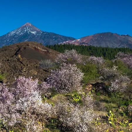 Estudio Rural - Nature & Relax *