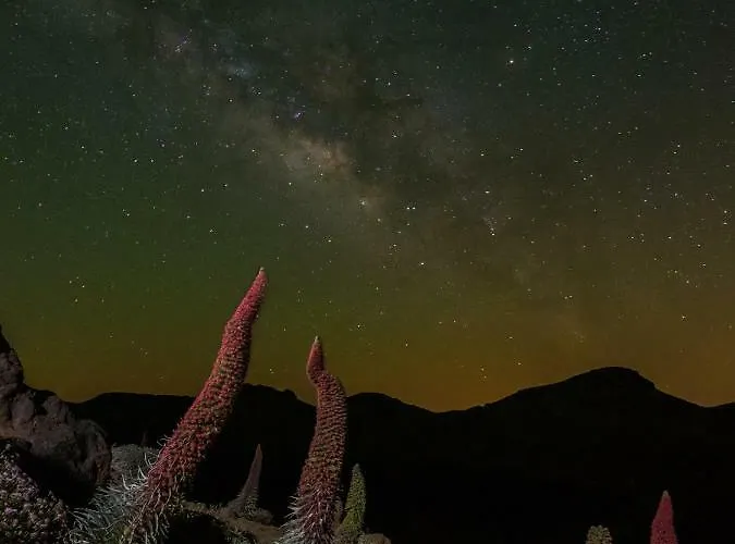 Estudio Rural - Nature & Relax * La Orotava