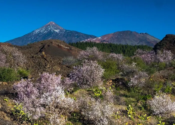 Estudio Rural - Nature & Relax *